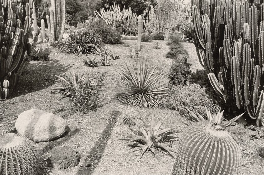 Huntington Gardens, California