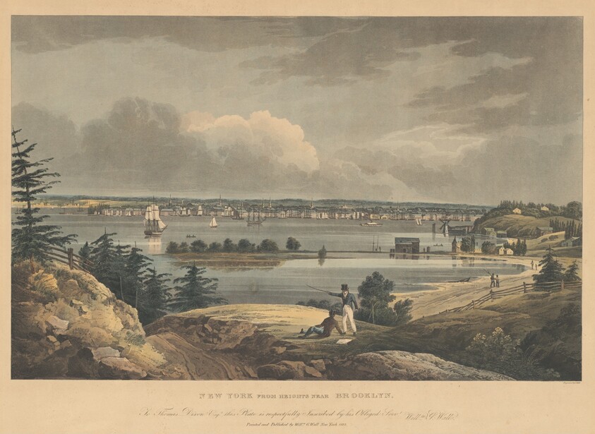 New York from Heights near Brooklyn