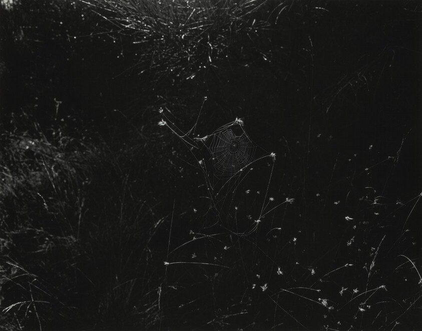 Aix-en-Provence, France