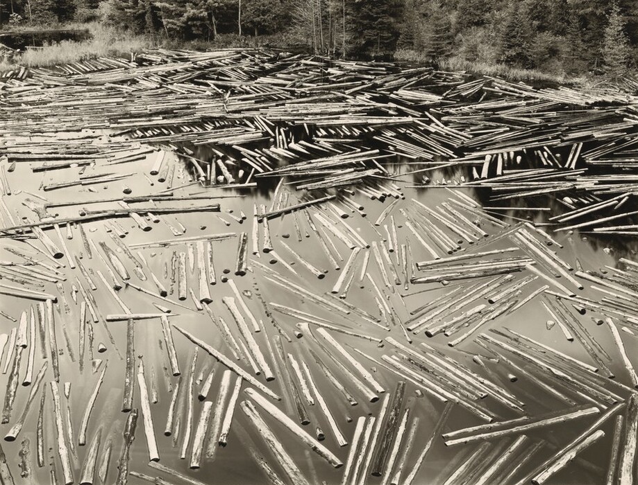Logs floating in a body of water nearly fill this horizontal black and white photograph. A sliver of a tree-lined shore is along the top edge of the composition. Otherwise, some of the logs are partially submerged, and we catch glimpses of other logs under the top layer.