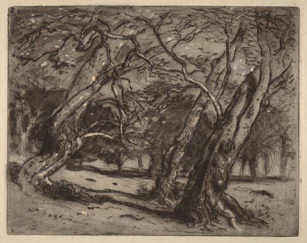 Untitled (Wooded Landscape)