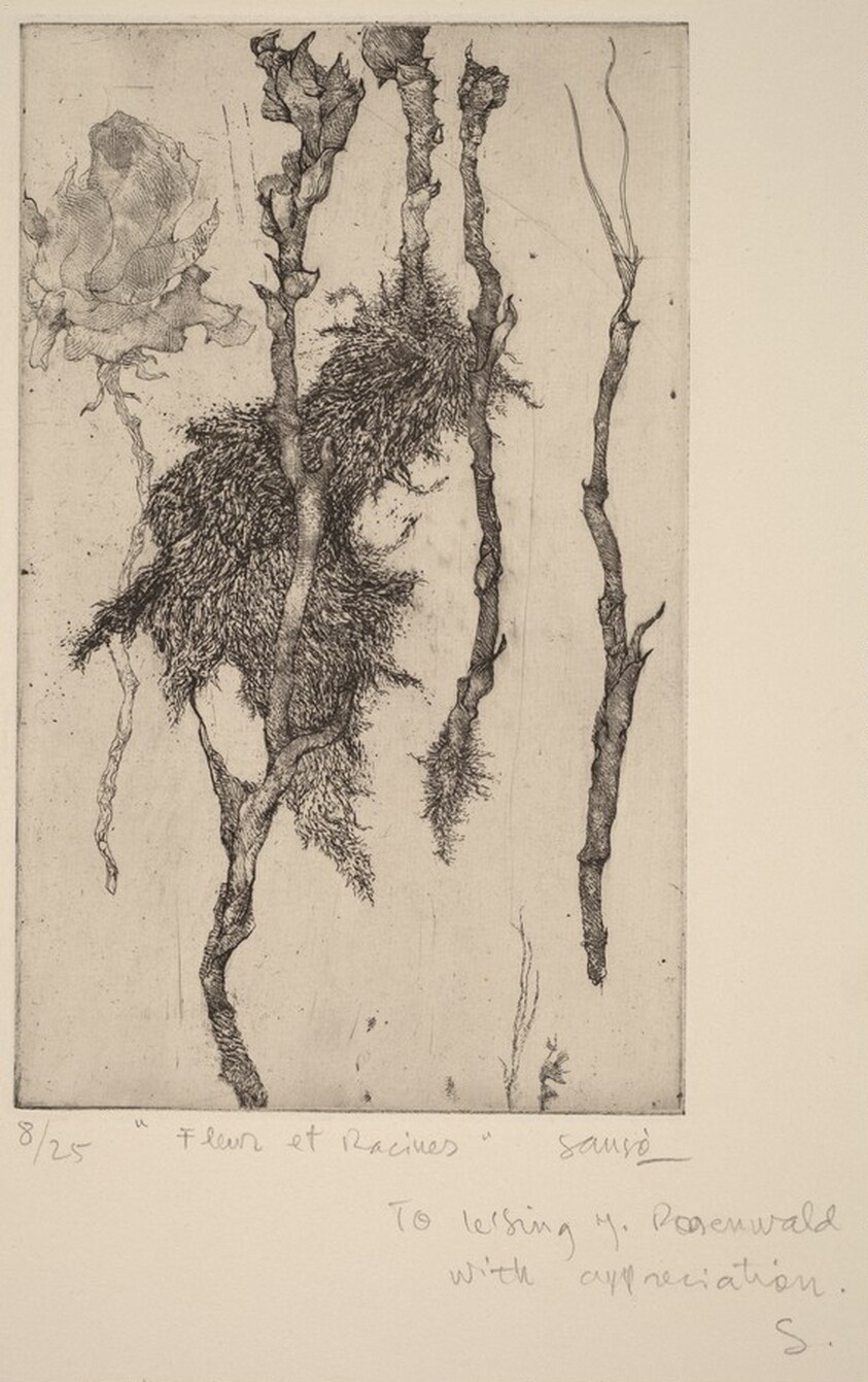 Fleur et Racines (Flower and Roots)