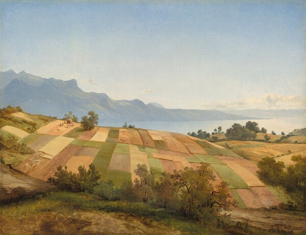 Swiss Landscape
