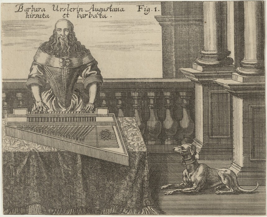 The image features an engraving of a person standing behind a zither on a table with a cloth. The person has long hair and a beard, wearing a dress with intricate details. A dog with a collar is present on the left. Background elements include a railing, balusters, columns, and an inscription above the person's head.