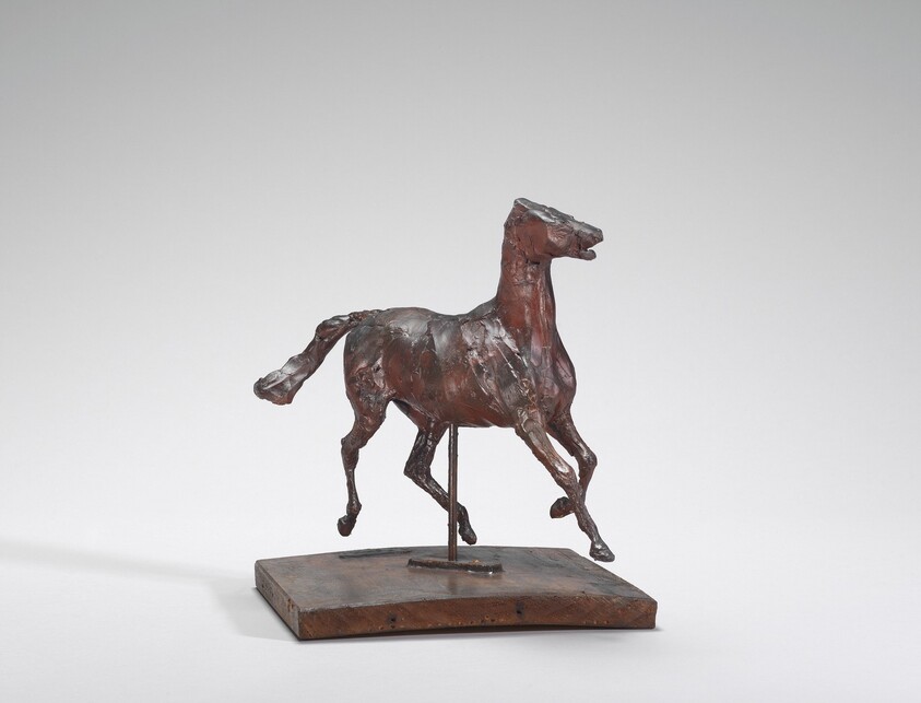 Horse Trotting, the Feet Not Touching the Ground