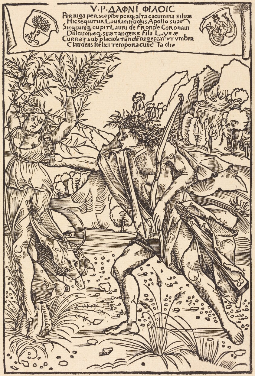 Apollo and Daphne