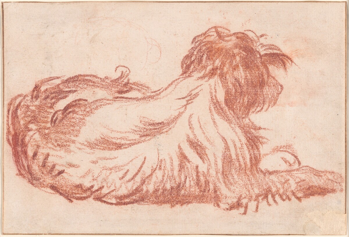 A Dog