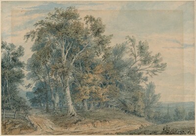 Wooded Landscape