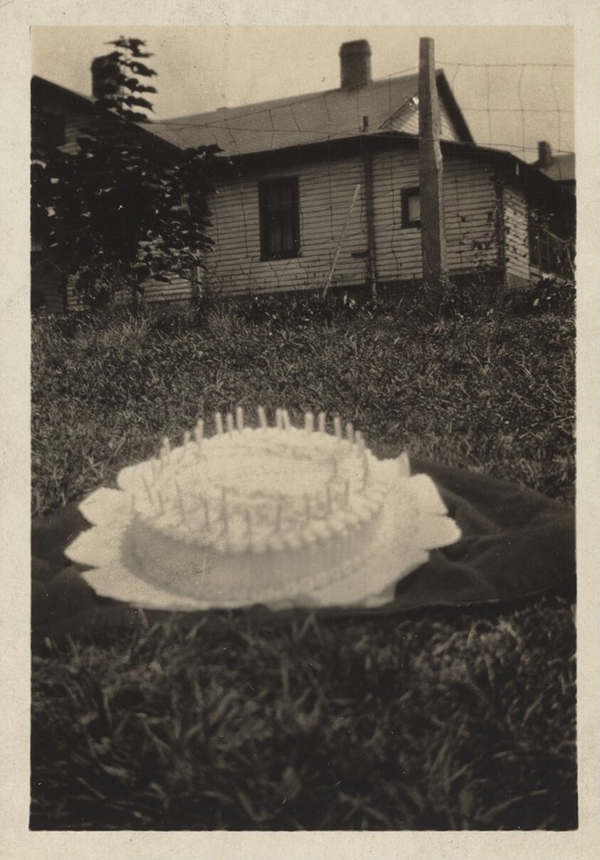 Untitled (Cake on lawn in front of house)