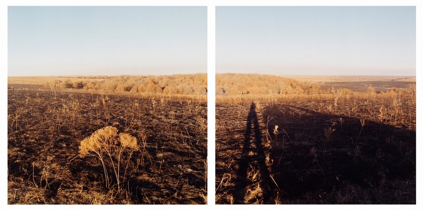 Area burned as part of prairie management program