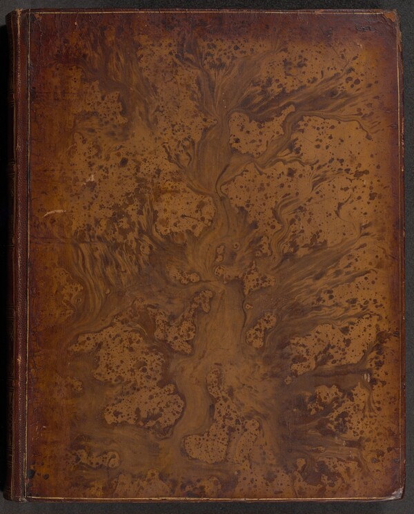 Vida y Hechos del Ingenioso Hidalgo Don Quixote de la Mancha (volume 1)