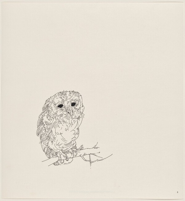 Owl Feathers: page 5