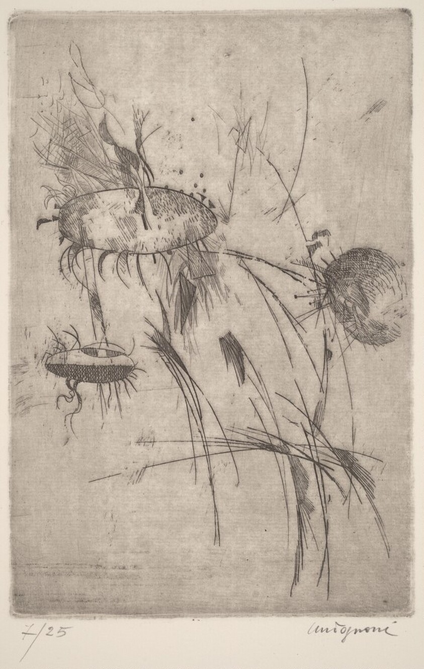 Piccoli Girasoli (Small Sunflowers)