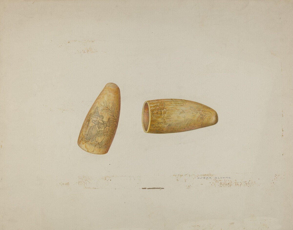 Scrimshaw: Walrus Tusk