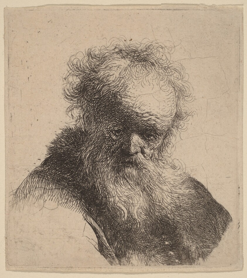Bust of an Old Man with Flowing Beard and White Sleeve