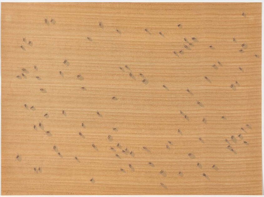 Cockroaches from Insects