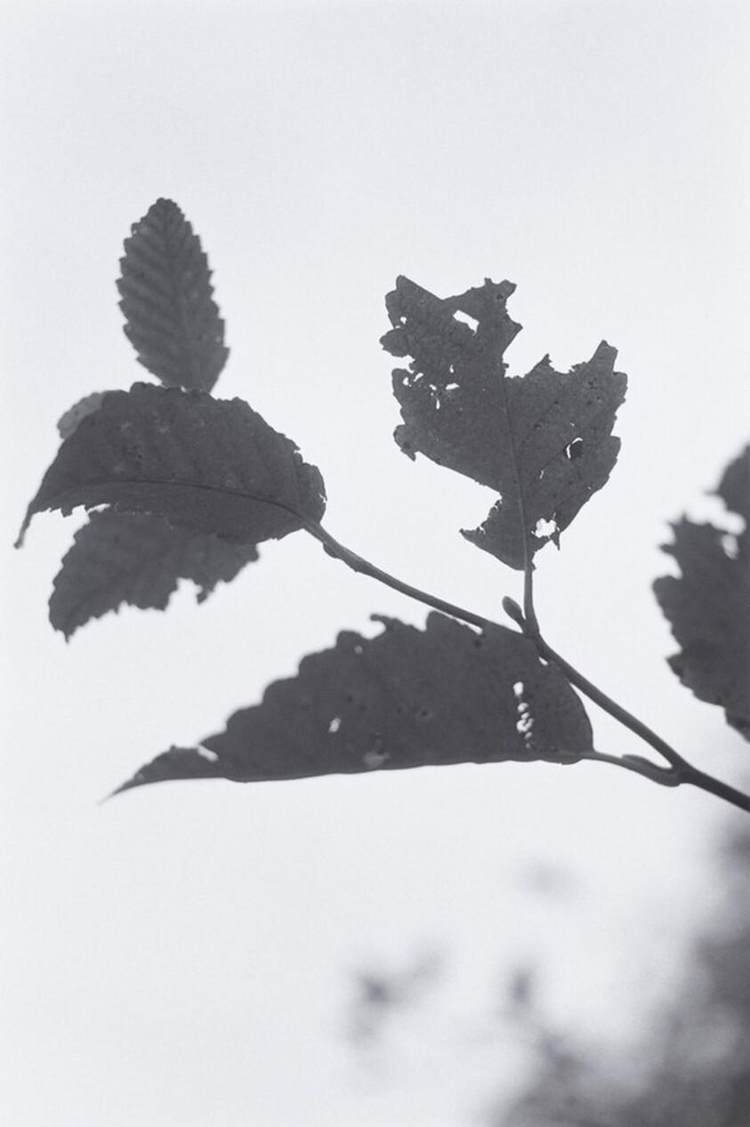 Neahkahnie Mountain, Oregon