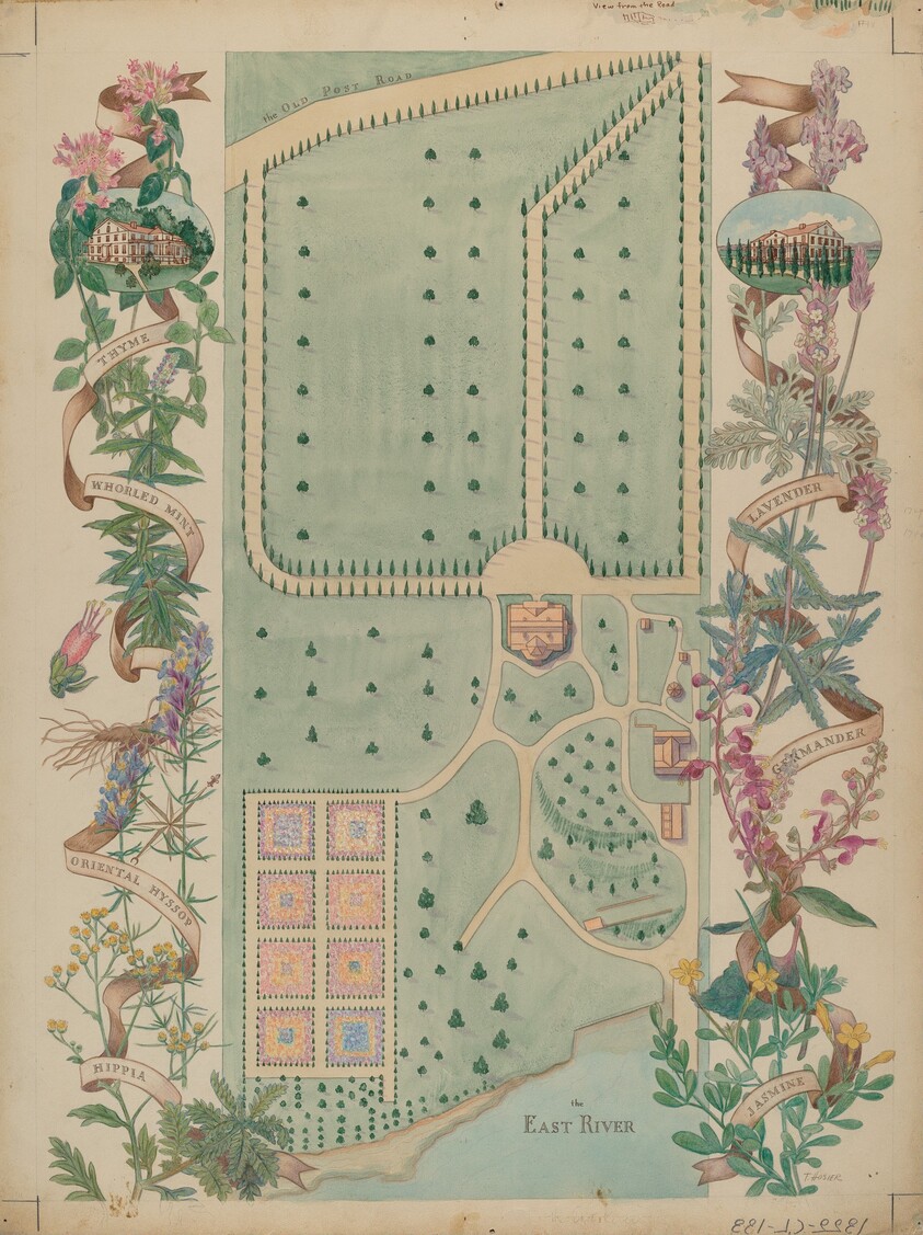 Smith's Folly - Mt. Vernon