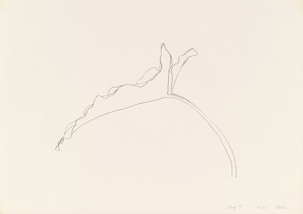 The image contains fine, minimalist lines that curve and suggest an abstract depiction resembling a plant or leaf bending. The lines form shapes resembling the ridges and folds of a leaf, capturing the essence of nature's gentle curves.