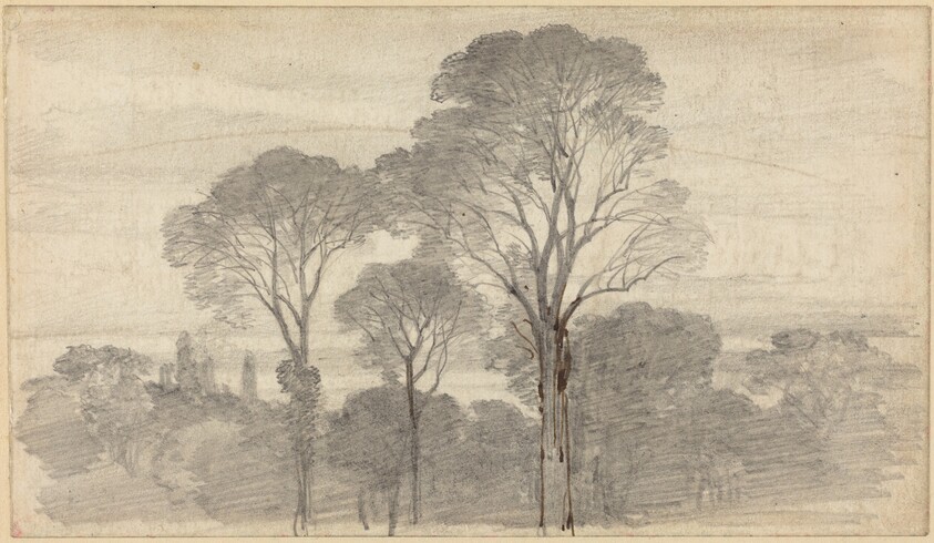 An Evening Landscape with Tall Trees