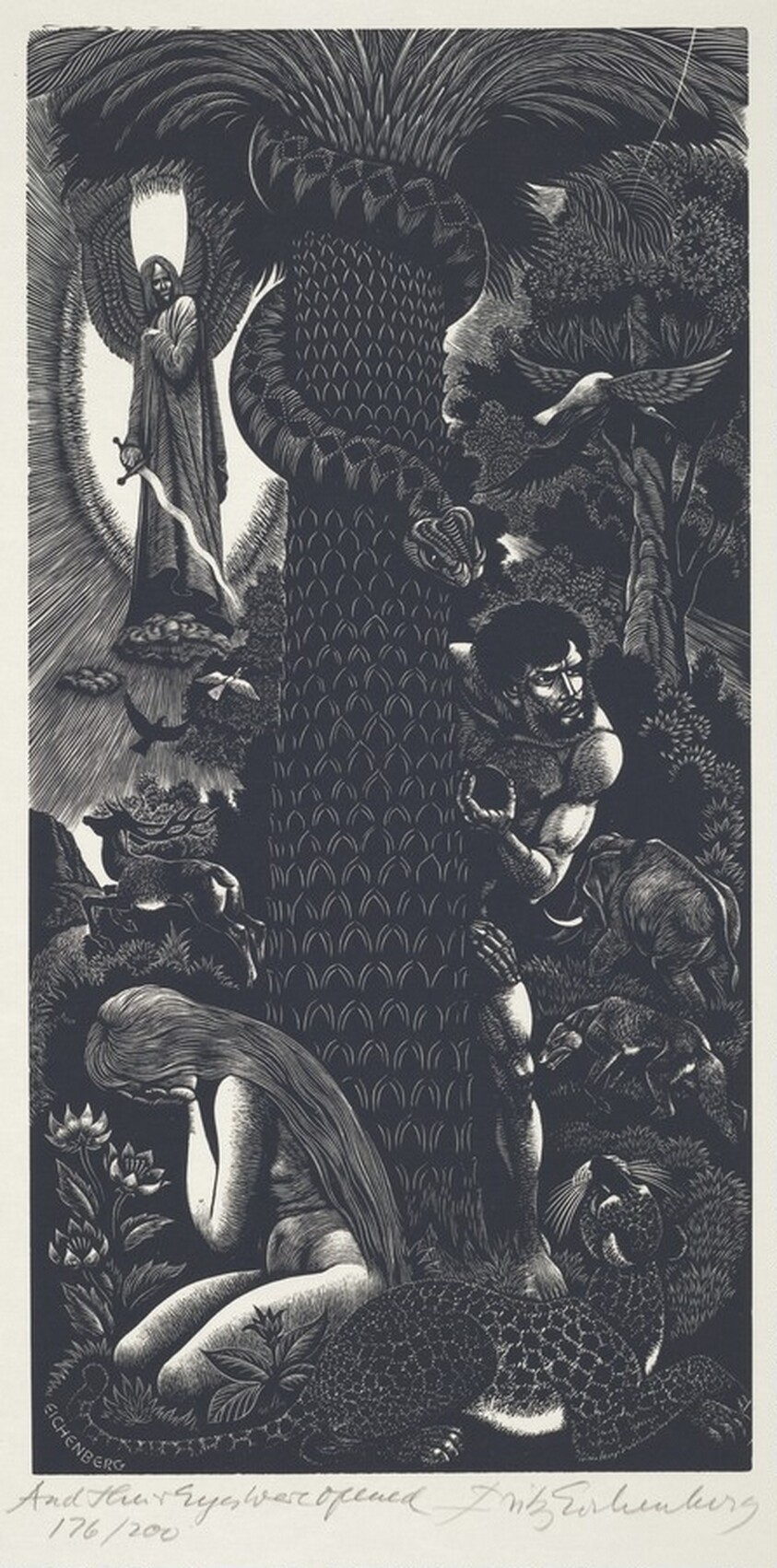 And Their Eyes were Opened