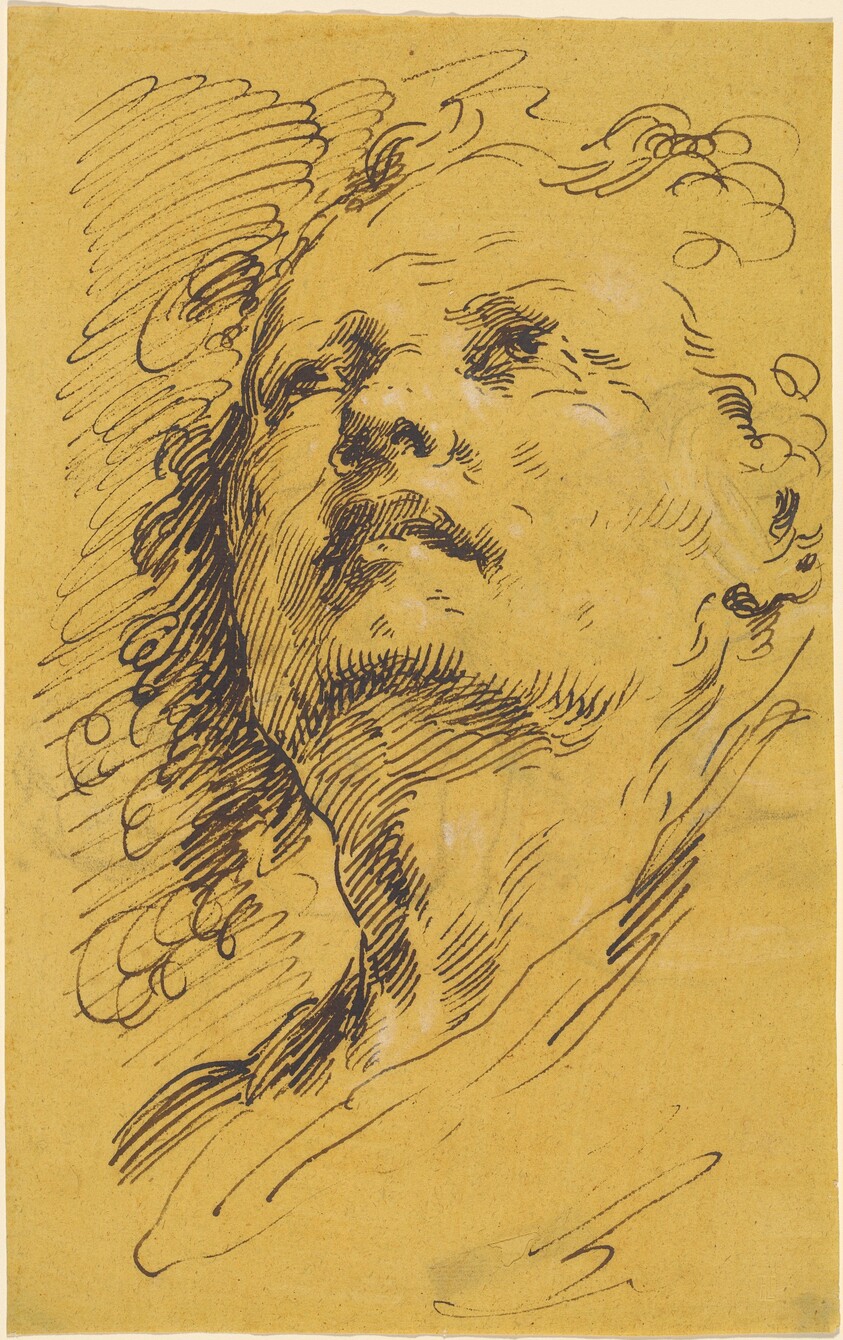 Head of a Man Looking Up
