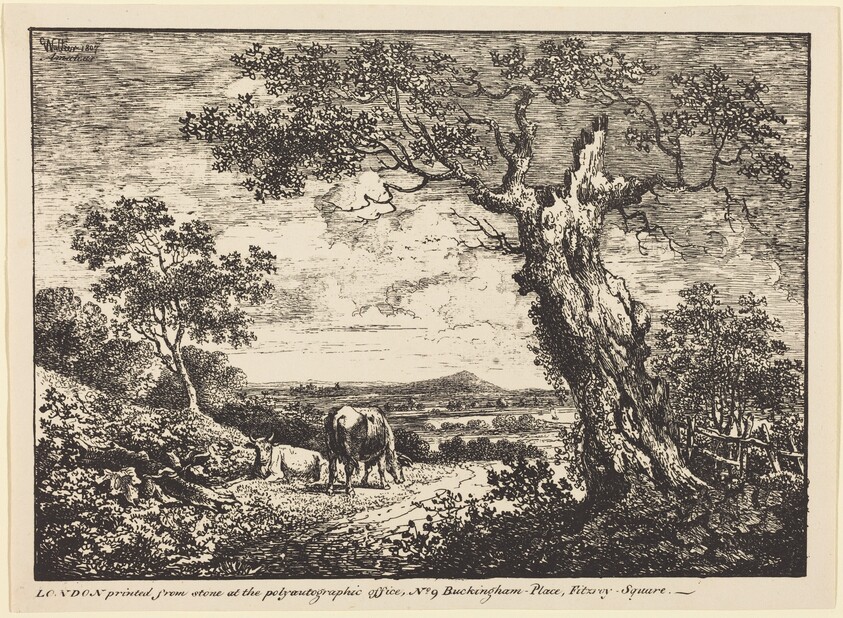 Landscape with Two Cows