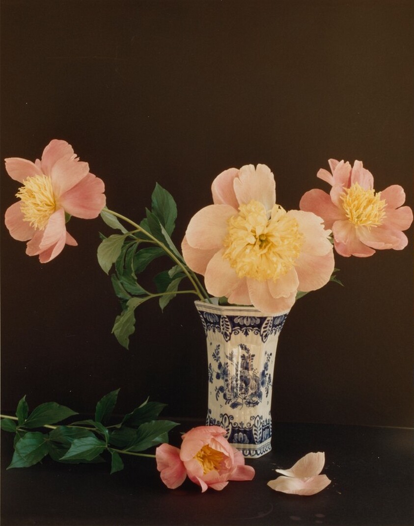 Flowers in an Antique Vase