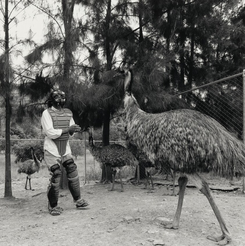 Toledo, La Mixteca, México
