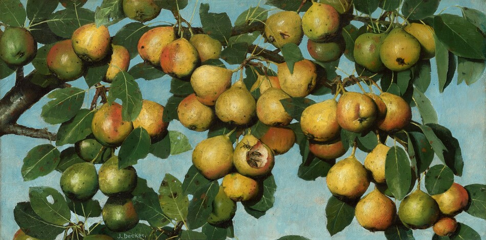More than three dozen pears clustered densely on leafy branches against a vivid blue sky fill this long, horizontal painting. Most of the pears are golden yellow and touched with blush pink on one side. Pieces of fruit hanging closer to the corners of the composition are darker green. The long leaves have smooth edges that come to points at both ends. Three wasps dig into a pear that looks partially devoured near the bottom center of the composition, and some of the leaves in that area have brown spots or holes. The artist signed the painting near the lower left corner, “J. Decker.”