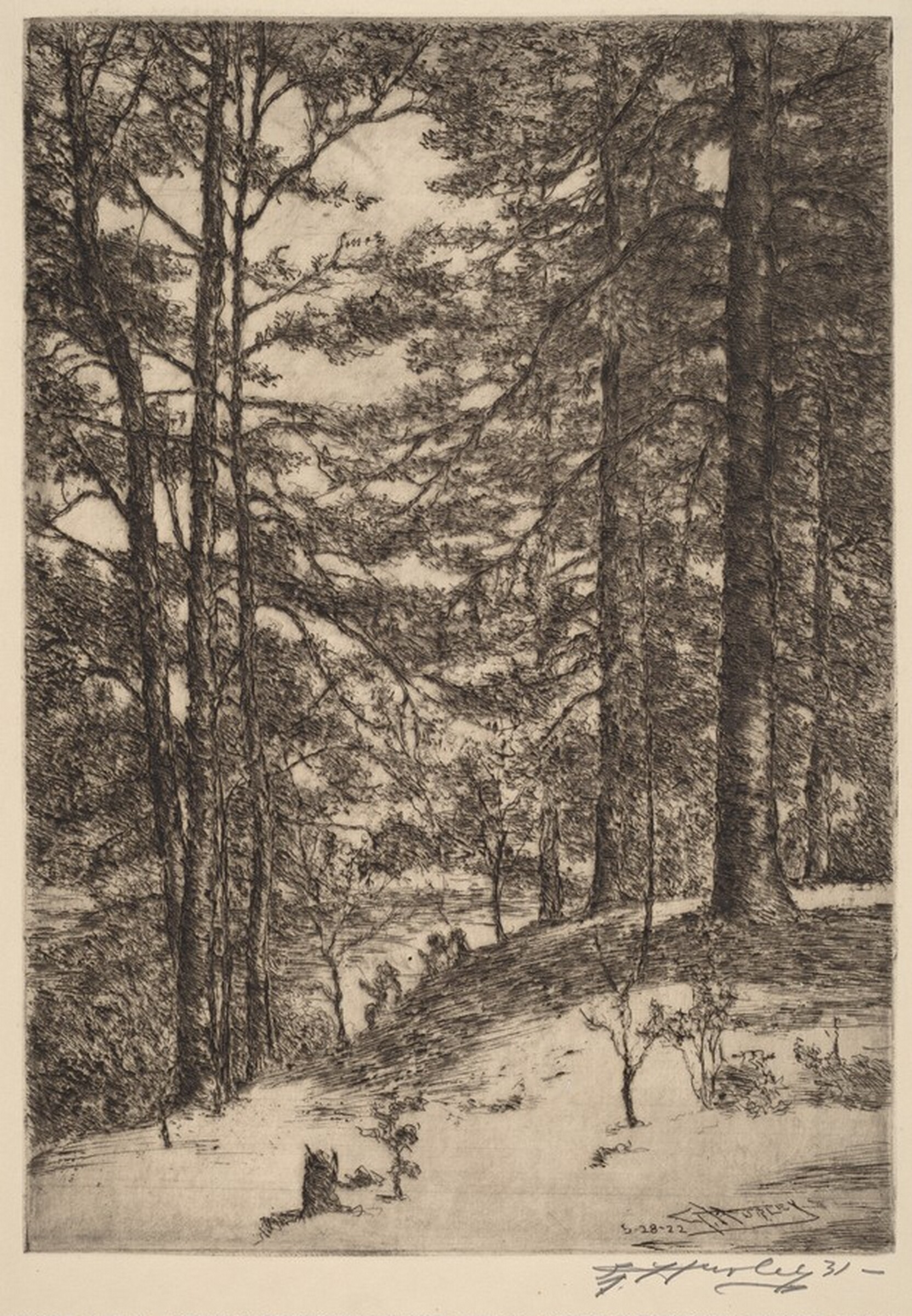 Kentucky Woods, Edward Timothy Hurley, 1922