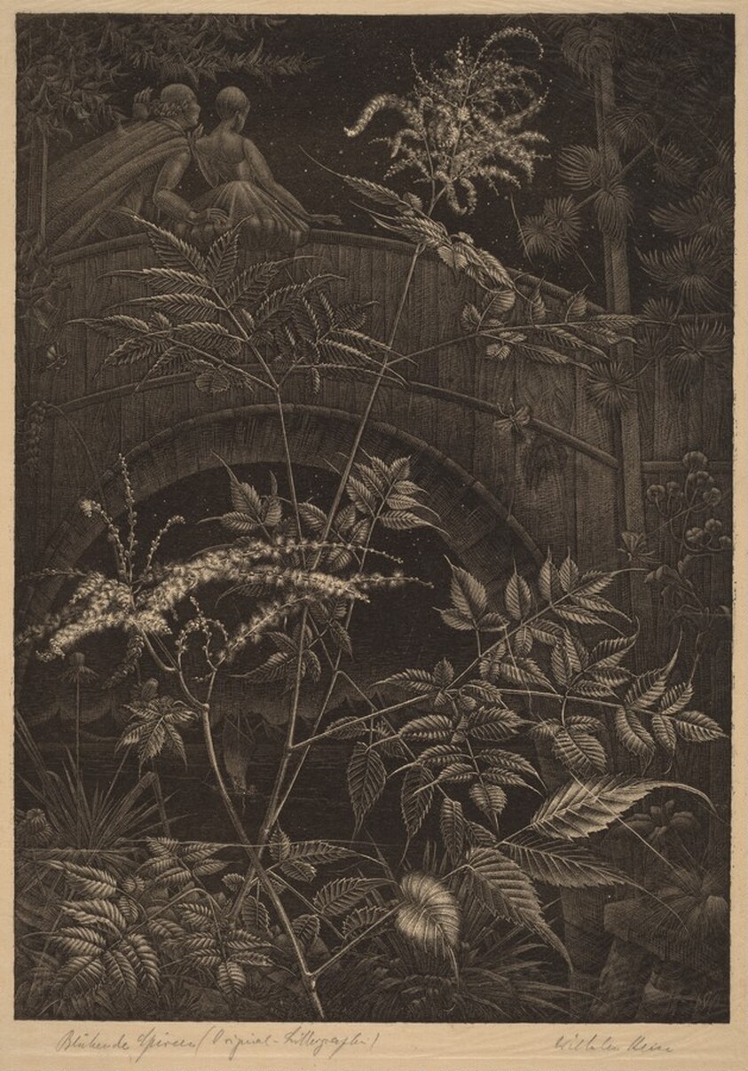 Blühende Spireen (Blooming Spiraea)