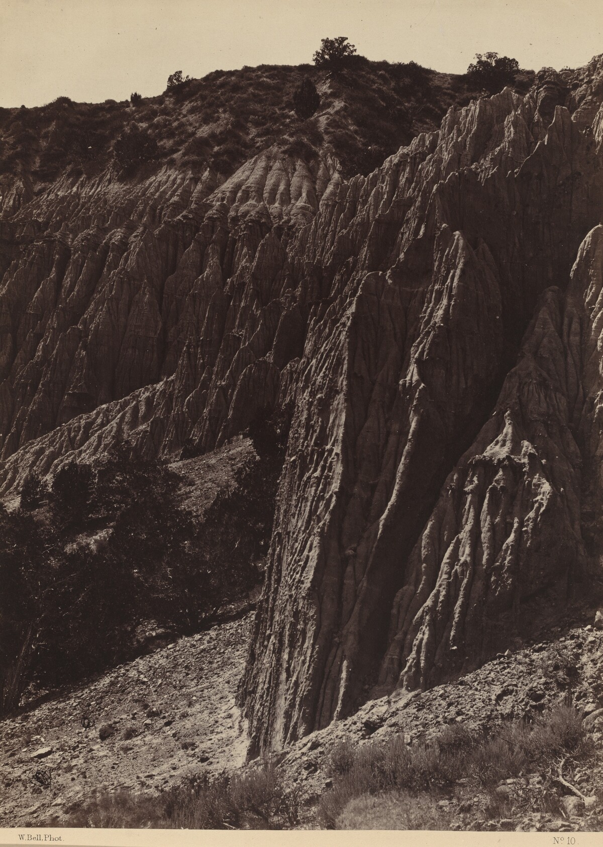 Rain Sculpture, Salt Creek Canon, Utah