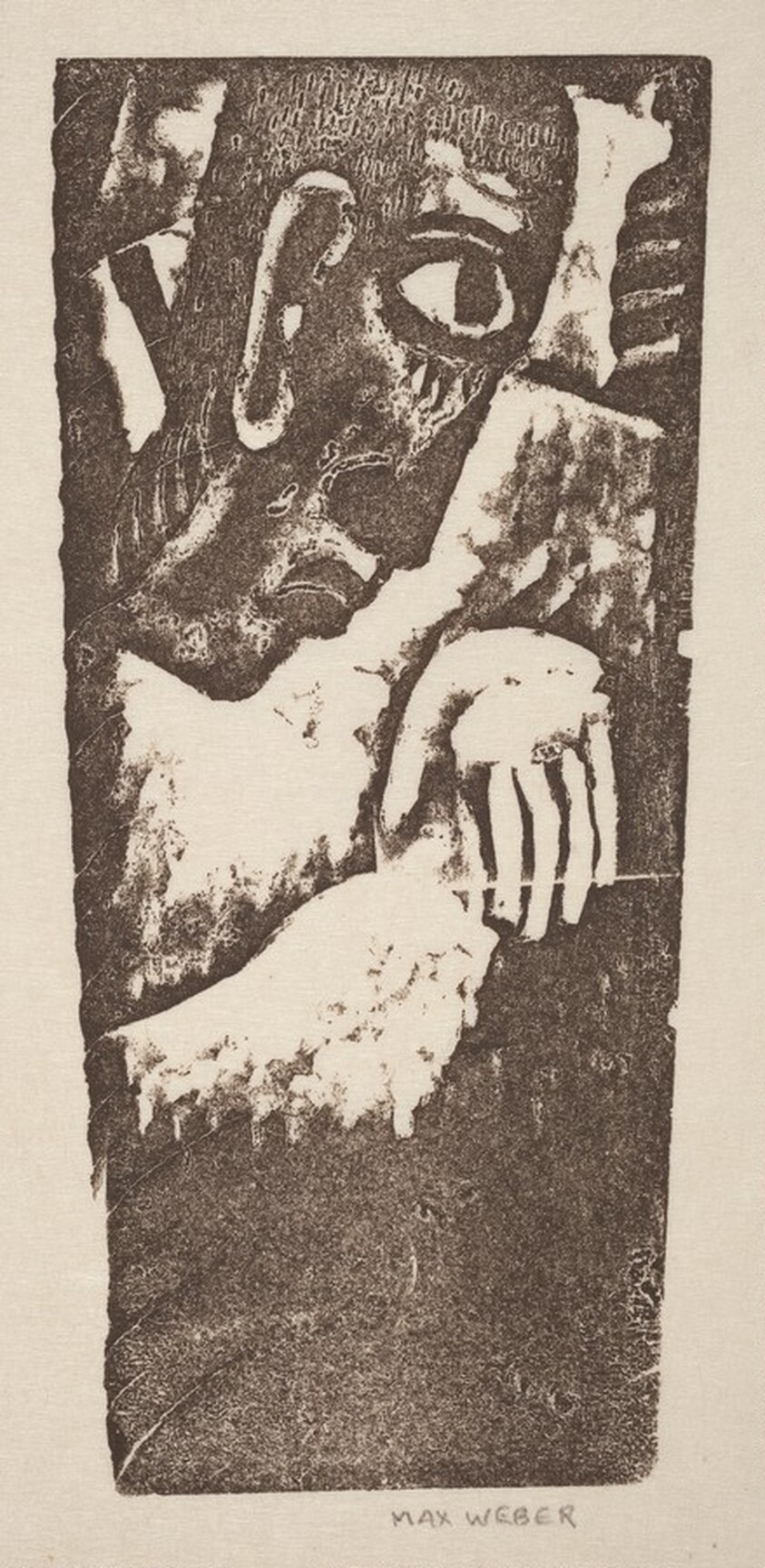 Large Primitive Head in Profile