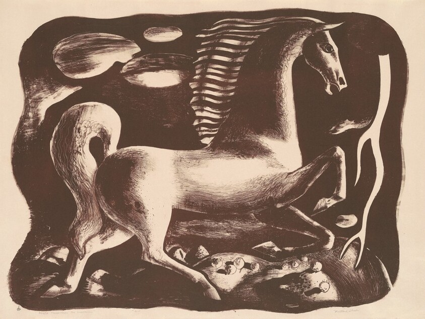 Horse Frightened by Lightning