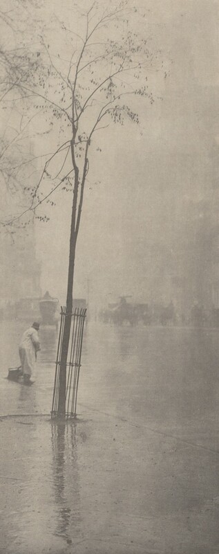 Printed with muted tones of gray, a single tall tree with a spindly trunk and sparse canopy grows inside a round cage set into a sidewalk in this tall, narrow photogravure on beige paper. The tree is just left of center. A short distance away, a person wearing a light coat and a dark cap cleans the street along the gutter near the left side of the photograph. The sidewalk and street to our right gleam with rain, and horse-drawn carriages are like smudged silhouettes in the hazy distance. Skyscrapers are barely visible against a misty sky in the top half of this picture.