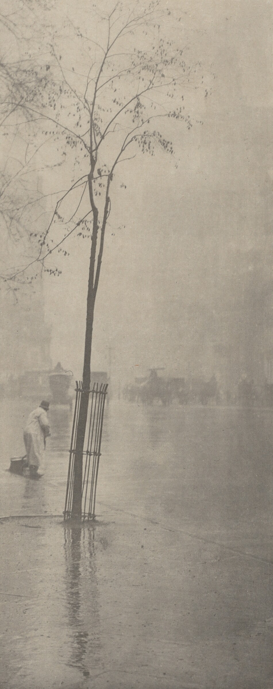 Printed with muted tones of gray, a single tall tree with a spindly trunk and sparse canopy grows inside a round cage set into a sidewalk in this tall, narrow photogravure on beige paper. The tree is just left of center. A short distance away, a person wearing a light coat and a dark cap cleans the street along the gutter near the left side of the photograph. The sidewalk and street to our right gleam with rain, and horse-drawn carriages are like smudged silhouettes in the hazy distance. Skyscrapers are barely visible against a misty sky in the top half of this picture.