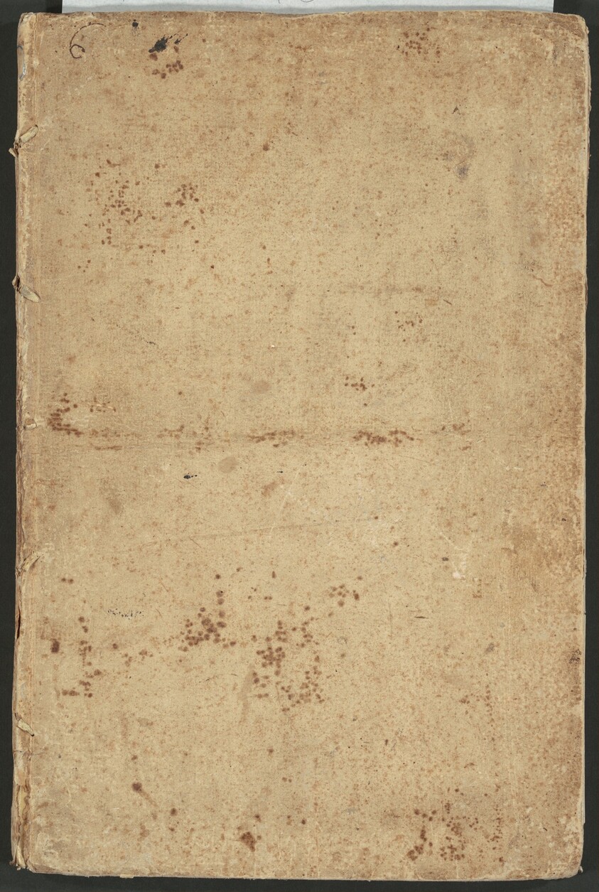 Ragguaglio della solenne comparsa, fatta in Roma gli otto di Gennaio MDCLXXXVII dall'Ill. Conte di Castelmaine ambasciadore straordinario della Sagra Real Maestà di Giacomo II, all'udienza di Papa Innocenzo XI