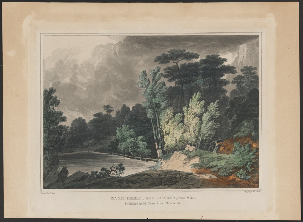 Spirit Creek; Near Augusta, Georgia