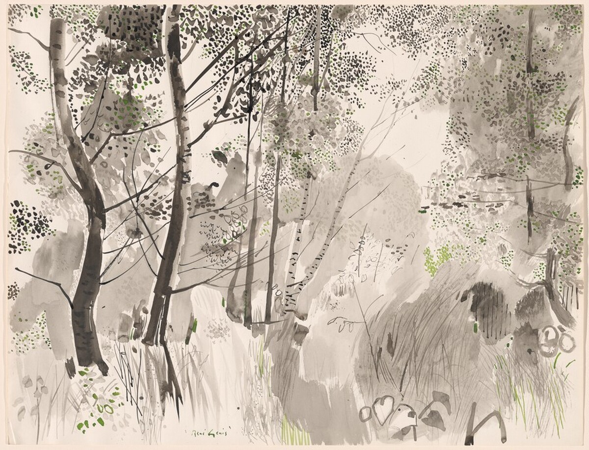 Underbrush