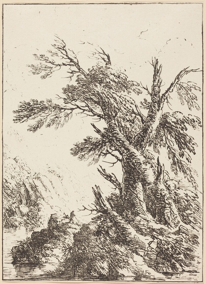 Landscape with Old Trees by Water