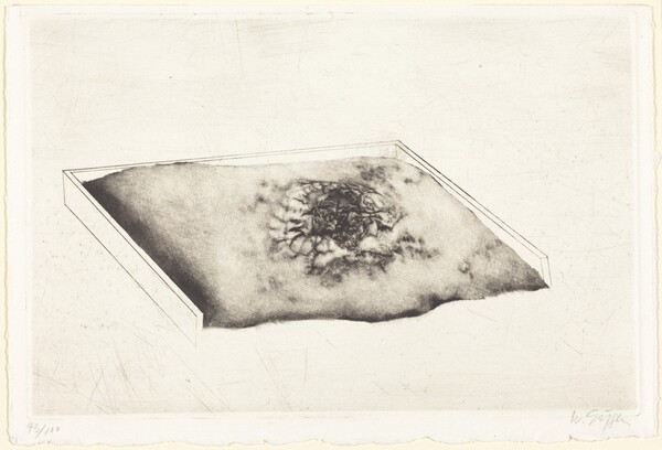 Untitled (Shallow Box)