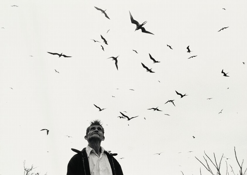 Señor de los pájaros, Nayarit, México (Lord of the Birds, Nayarit, Mexico)