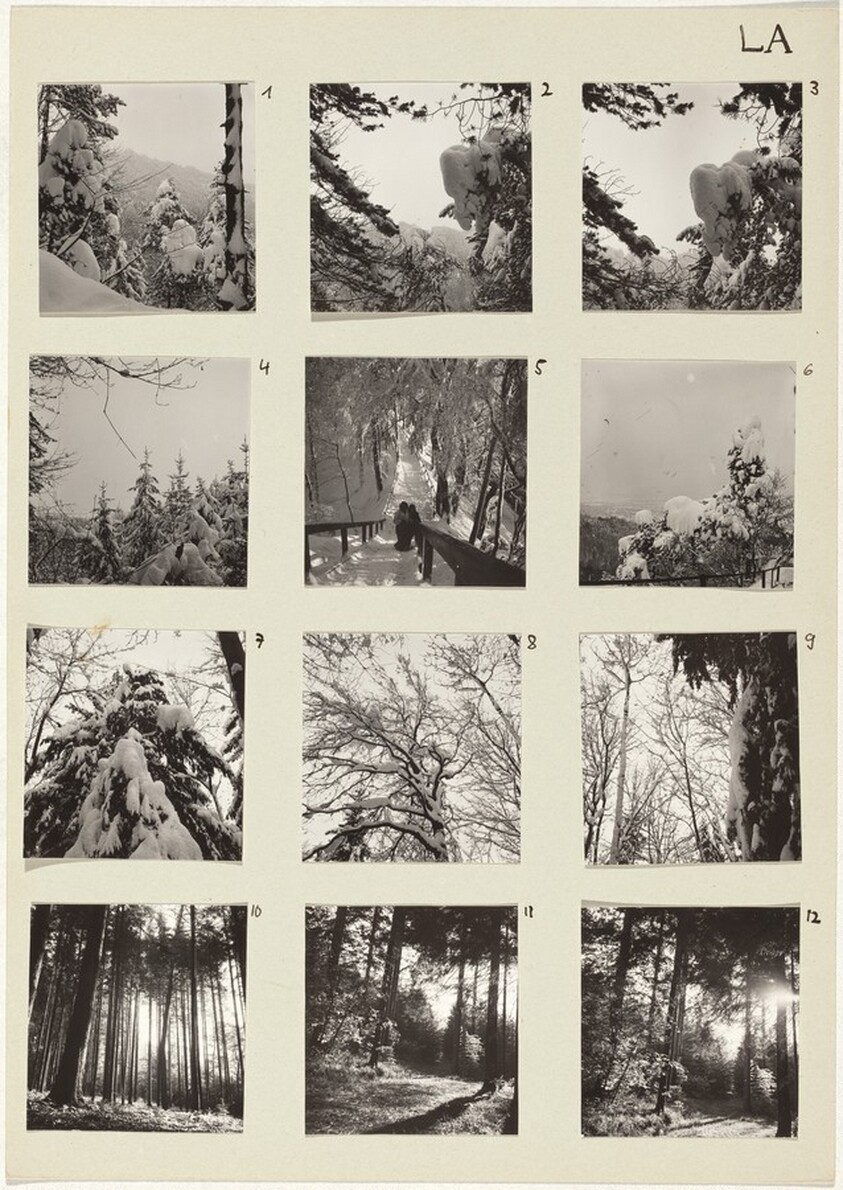 Die Landschaft (Landscape) 1-12