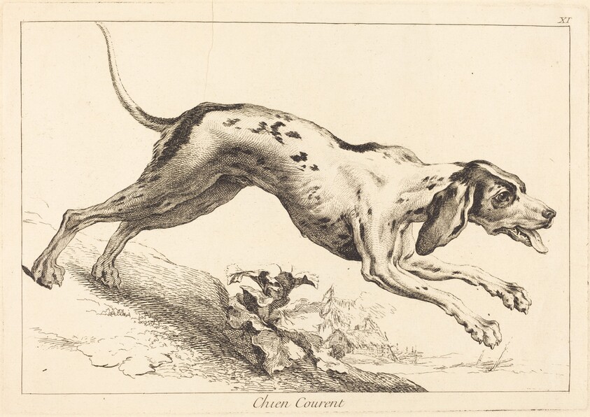 Chien courent (Running Hound)
