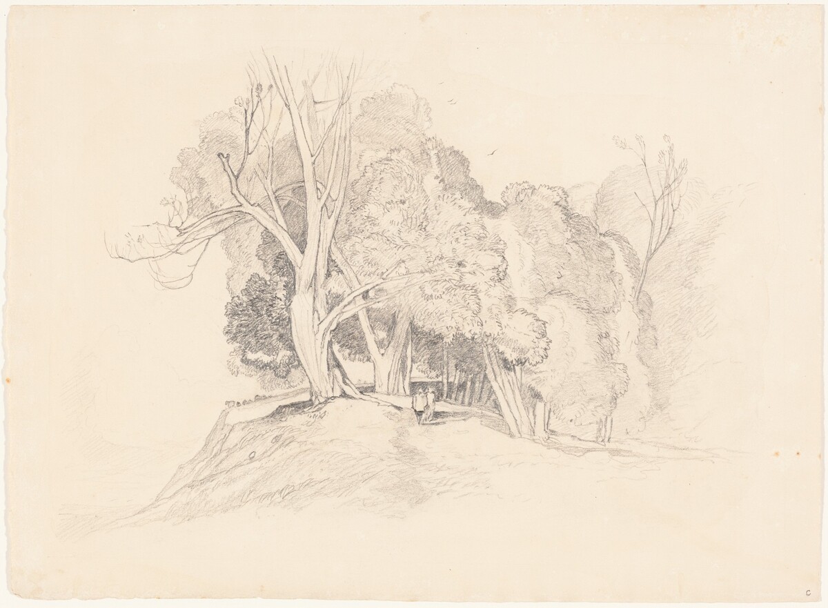 Landscape with Trees