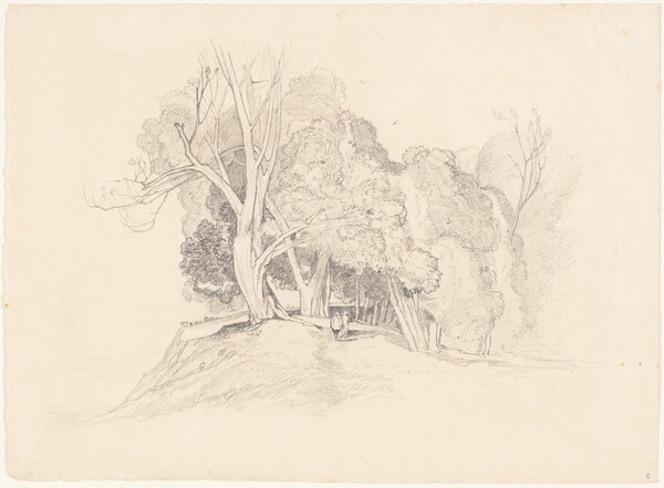 Landscape with Trees