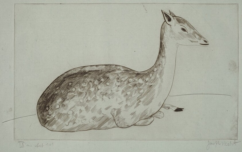 Doe Lying Down (Biche couchée)