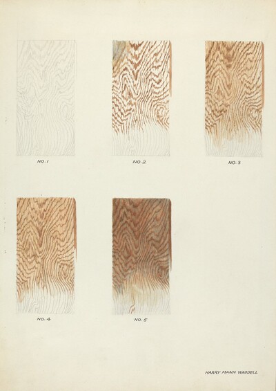 Technique Demo (Wood Grain)