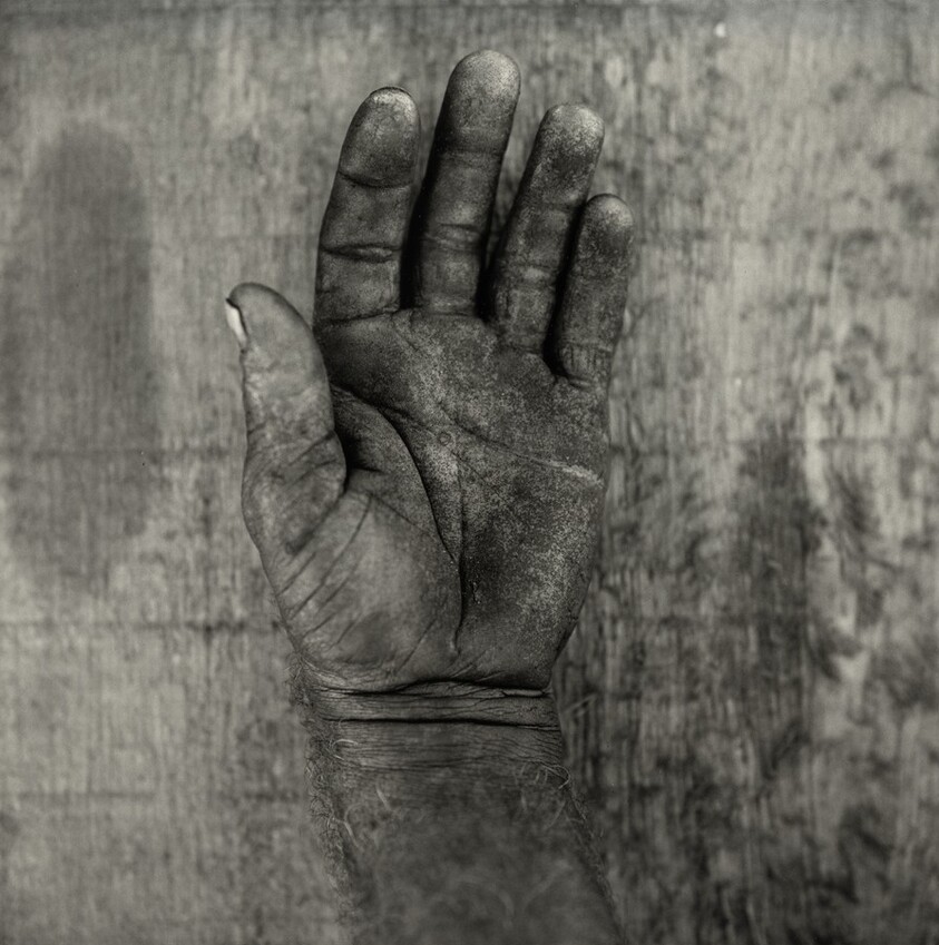 The "Hope" Grasshopper. Dona Antônia's Wish-Ribbon Bracelet. Five Centuries Work the Land at Black River.